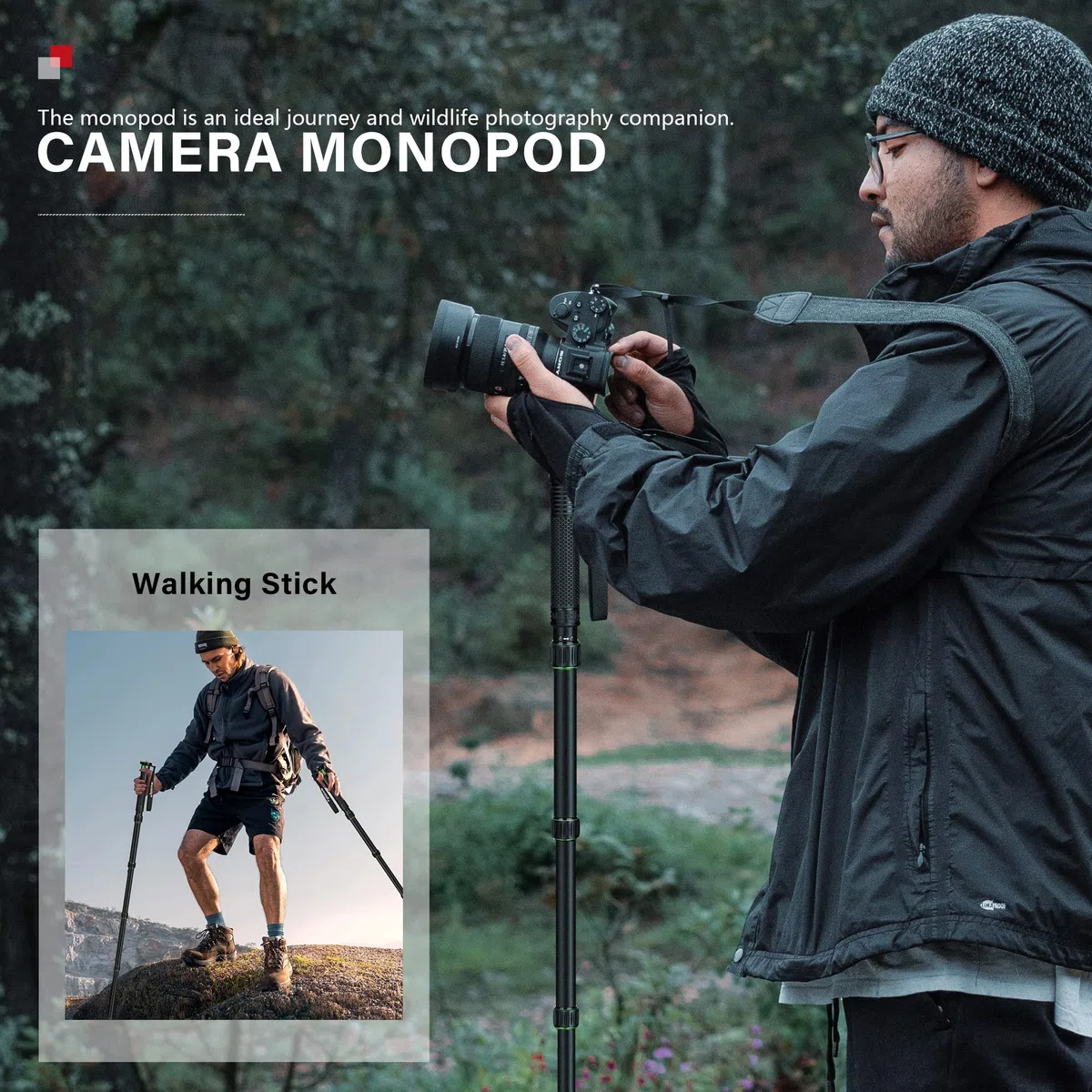 Manbily Einbeinstativ Kamera 168cm Wanderstöcke aus Aluminium Reise-Einbeinstativ Tragbar Kompakt Leicht mit Gehstockgriff, Tragetasche Belastbarkeit von 7KG für DSLR Kamera Videokamera (A-555L) Grün
