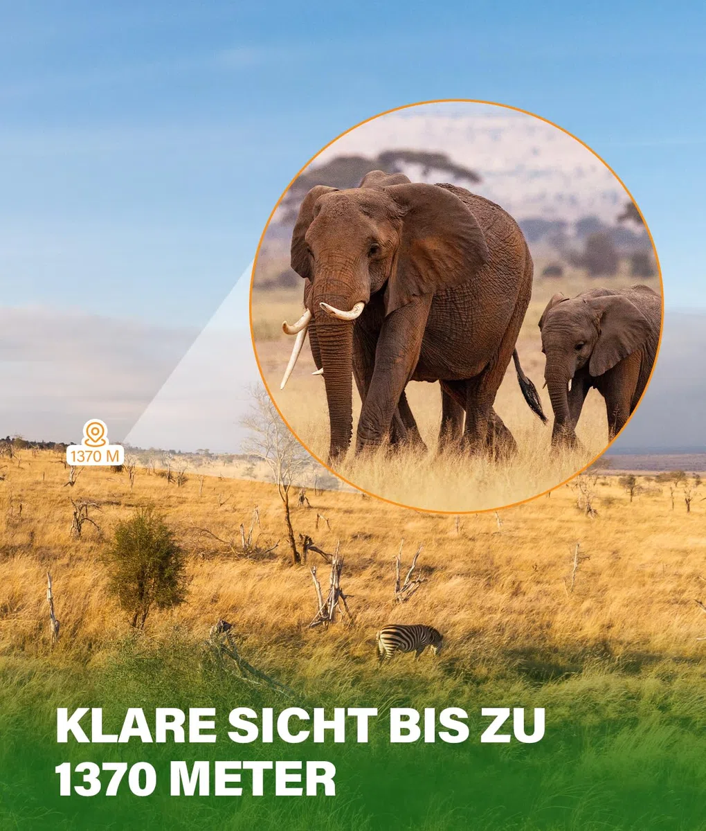 PAHTTO Monokulares Teleskop, Monokular 80x100 mit BAK4-Prisma und FMC-Objektiv, HD Monokular Teleskop Fernrohr mit Smartphone-Adapter und Stativ, für Vogelbeobachtung Jagd Wandern Konzert Sport