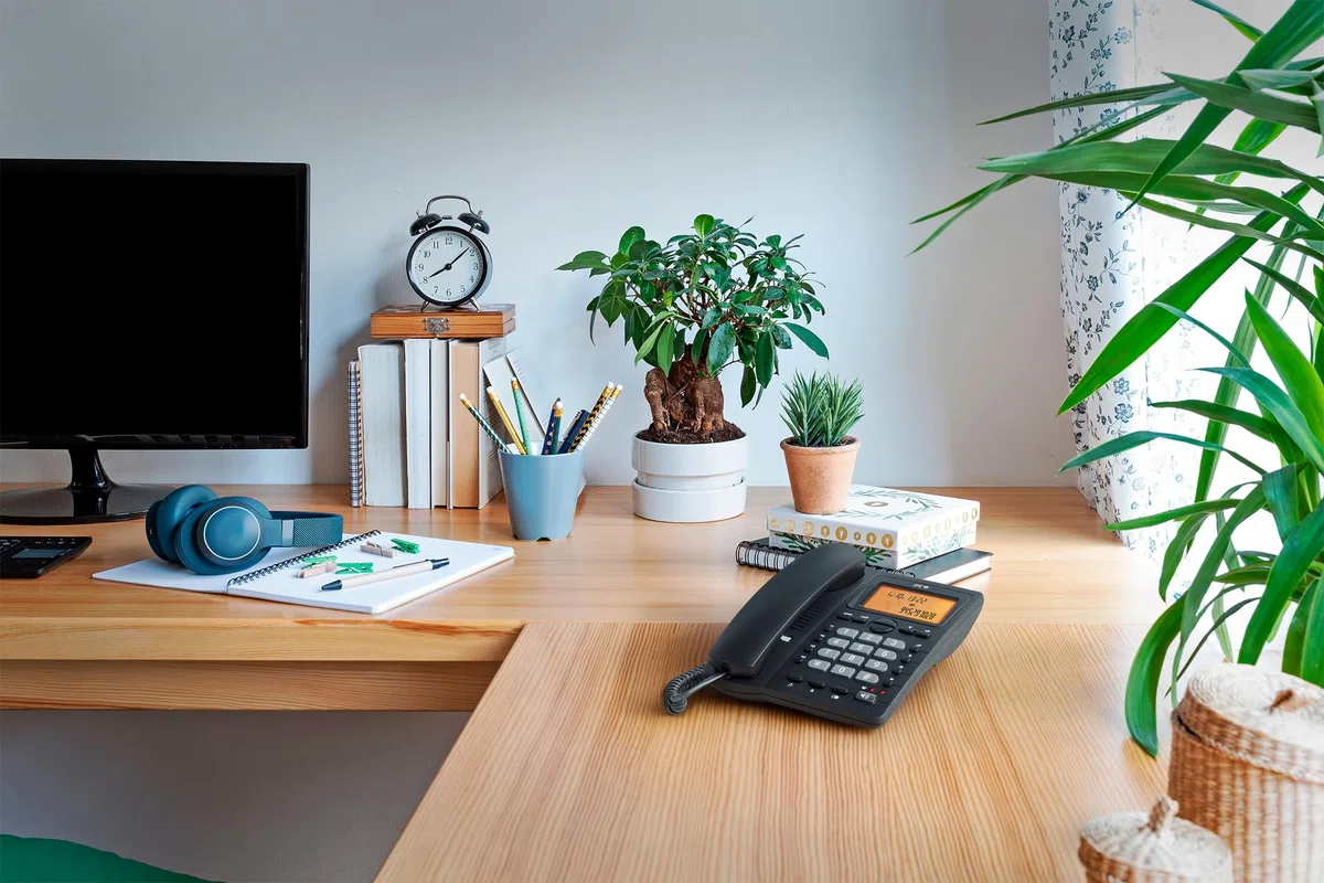 SPC Office ID 2 - Festnetztelefon mit beleuchtetem Display, 4 Direktspeichern und 10 indirekten Speichern, 2 Ruftonstufen, Anrufer-ID, Lichtsignal, Freisprechfunktion, Tisch-oder Wandmontage – Schwarz