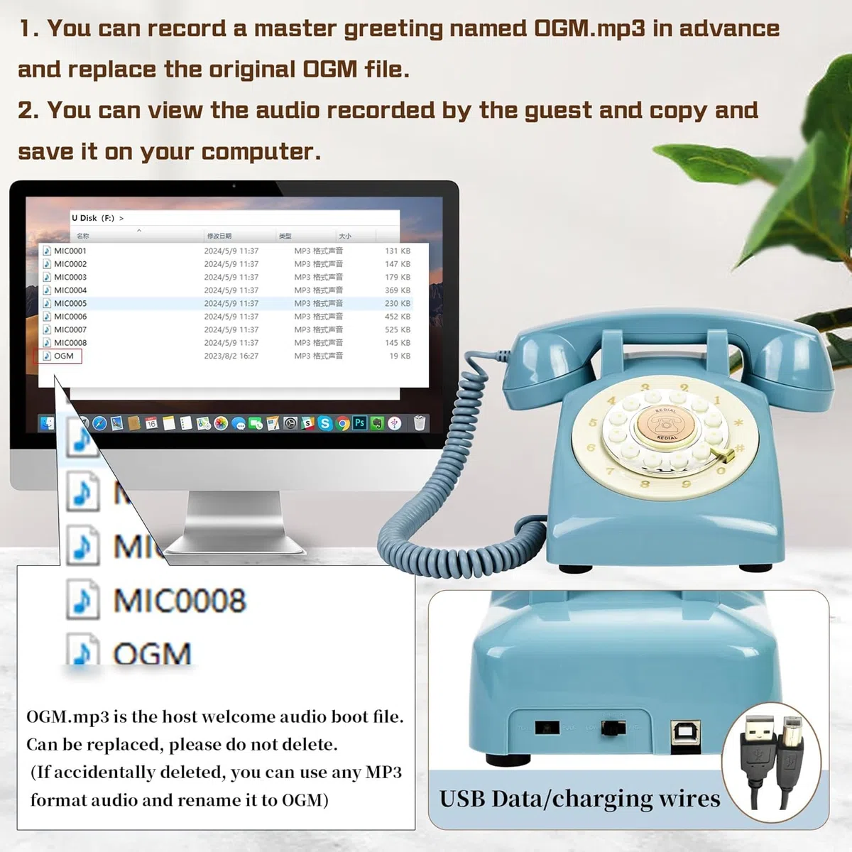 Audio Gästebuch Hochzeit Telefon (Blau + Schild)