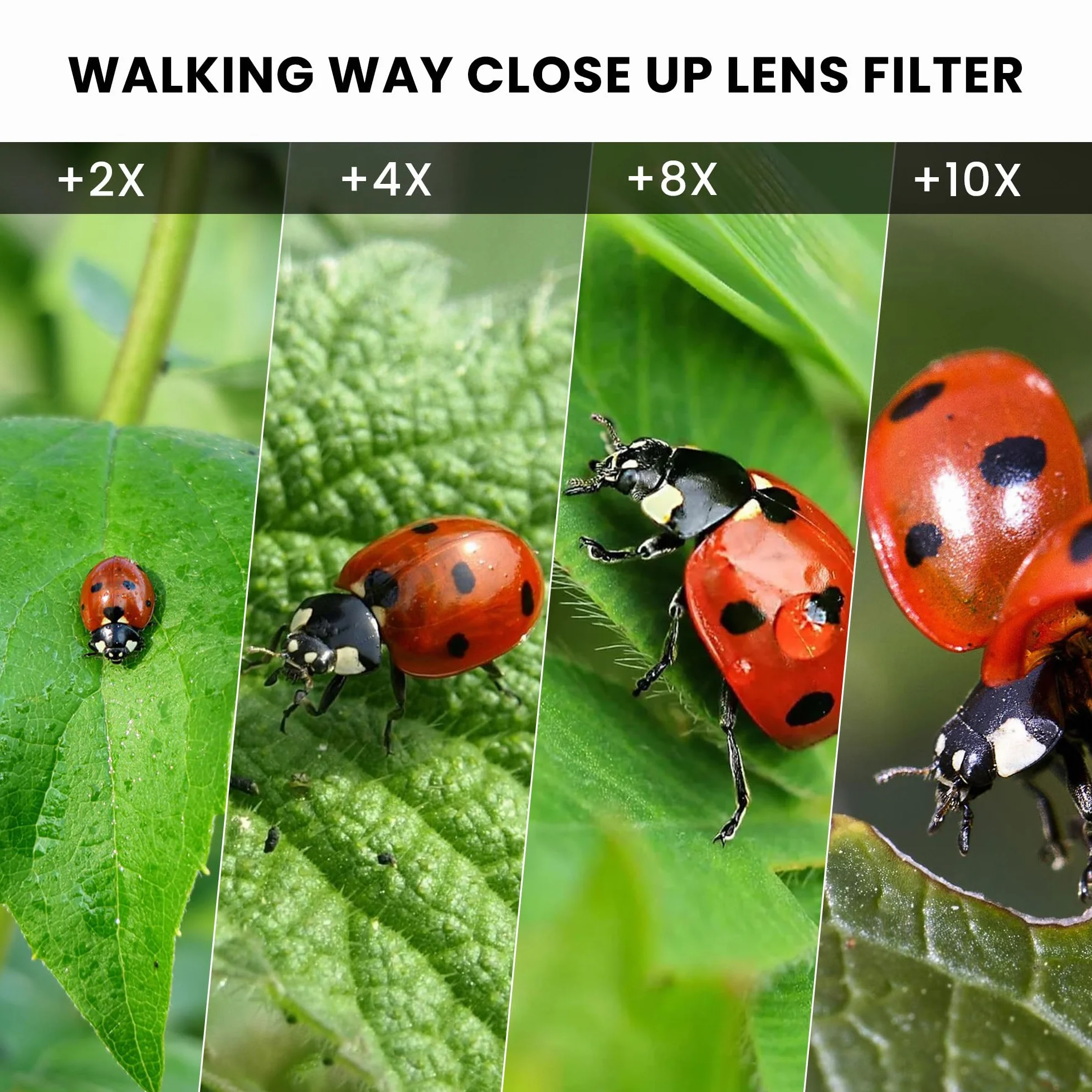 Walking Way Close-Up Makrofilter +8 – Detailfilter für Extreme Nahaufnahmen, HD-Glas, 82mm Schraubfilter – für Technik, Miniaturen & Feinheiten