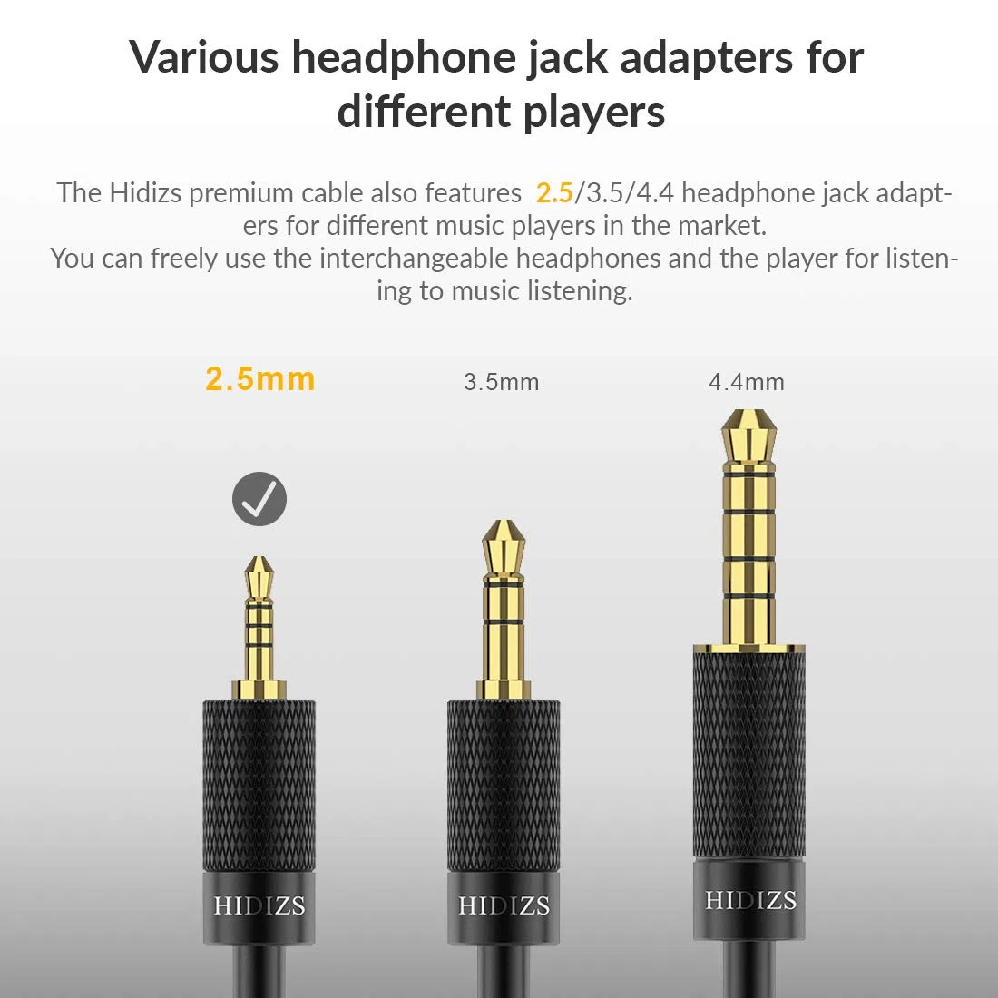 HIDIZS BL2.5 abnehmbares symmetrisches Kopfhörerkabel, 2.5 mm Stecker, Ersatz-Kopfhörer, Audiokabel, 2-polig, 0.78 mm IEM-Kabel für MS4 MS2 MS1 KZ ES4 ZSR ZST ZSR ED16 ZS10 TFZ TRN (2 0.5 mm