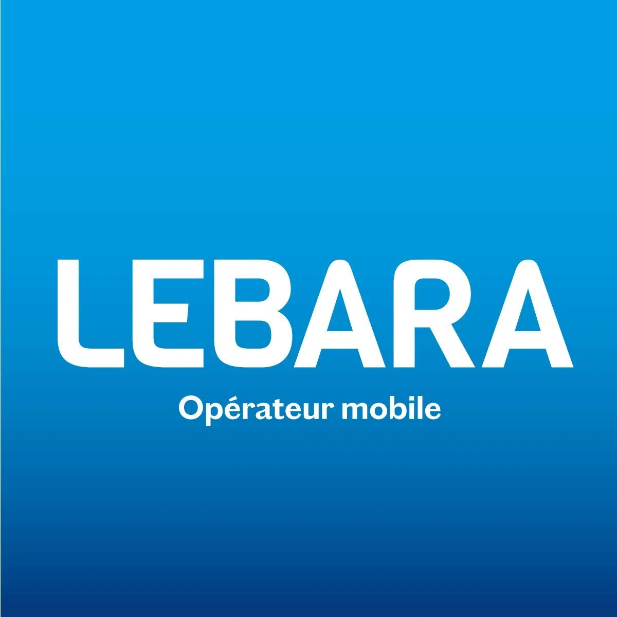 Lebara SIM Karte (Frankreich) Inkl. EUR 7,50 Gesprächsguthaben - Französische Rufnummer
