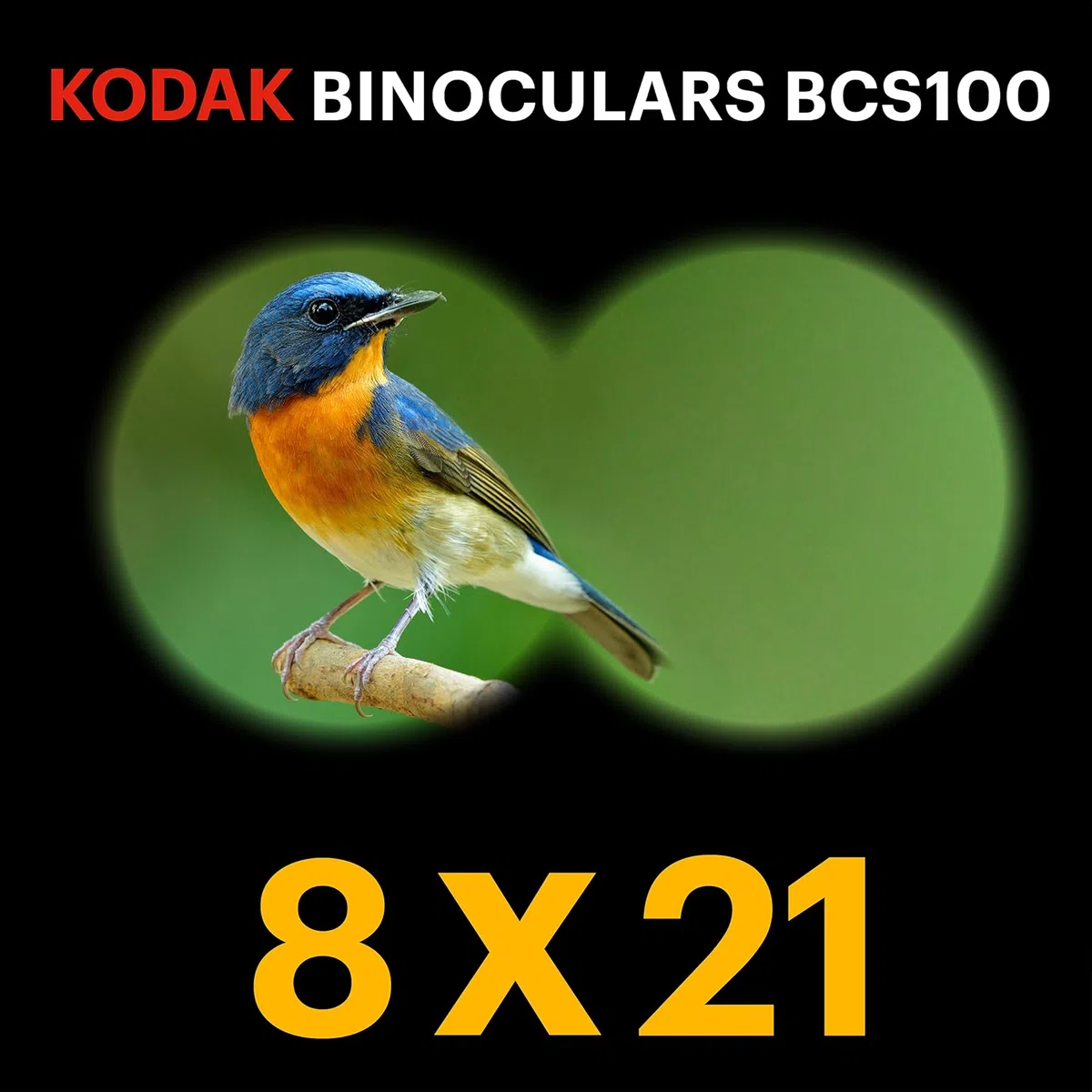 KODAK Fernglas für Kinder BCS100 – Kompakte Binokulare Ferngläser für Kinder, mit weichem Gummi, ergonomisch, mit Trageriemen und Transporttasche, 8-facher Zoom – Rot