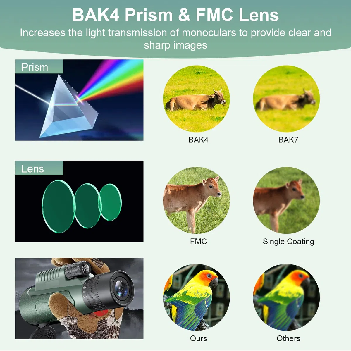 10-30 X 50 Monokular Teleskop Monokular Fernglas BAK4 Prisma Mehrschichtige Linsen Mit Stativ Handy-Clip Wasserdicht Fernglas Klein für Vogelbeobachtung Wandern Jagen Spiel Ansehen