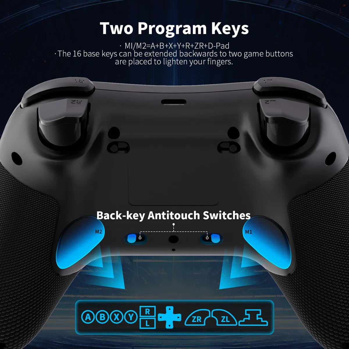 AceGamer Aurora 2.4G Bluetooth Wireless Controller, mit Hall-Effekt Joystick, Linear Resonant Actuator, Programmierbare Rücktaste, PC Controller für Windows PC/Switch/Stem/iOS/Android-Schwarz