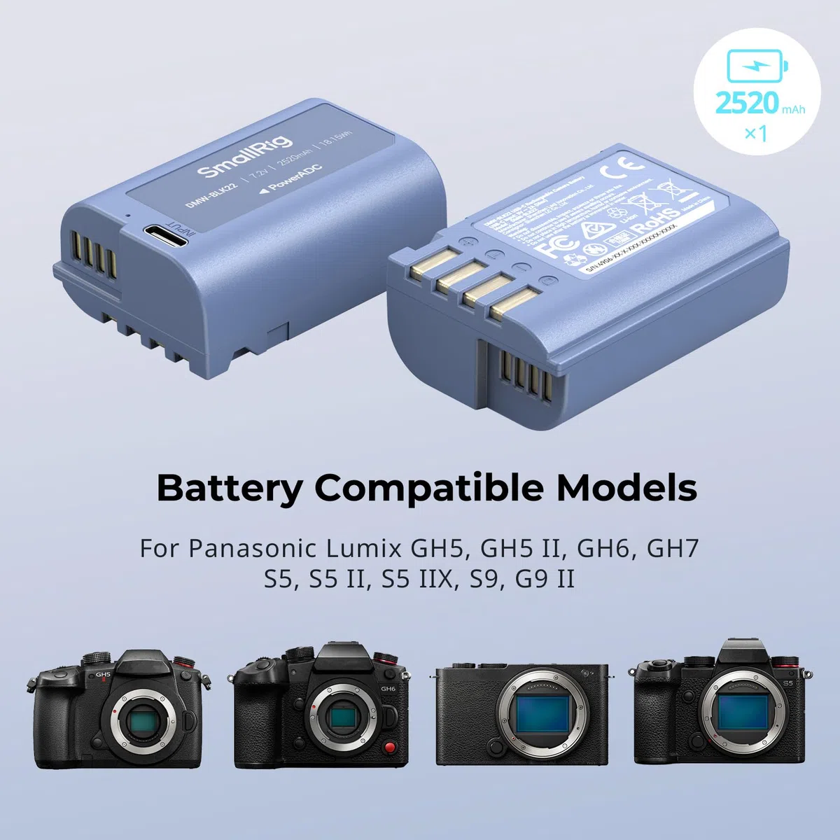 SMALLRIG Camera Battery Akku für DMW-BLK22 2520mAh USB-C Ersatzakku für Panasonic LUMIX GH5, S5, 2,5H voll aufgeladener Akku für Panasonic LUMIX GH5 II, S5 II, GH7, GH6, S9, S9 II, S5 IIX – 4906