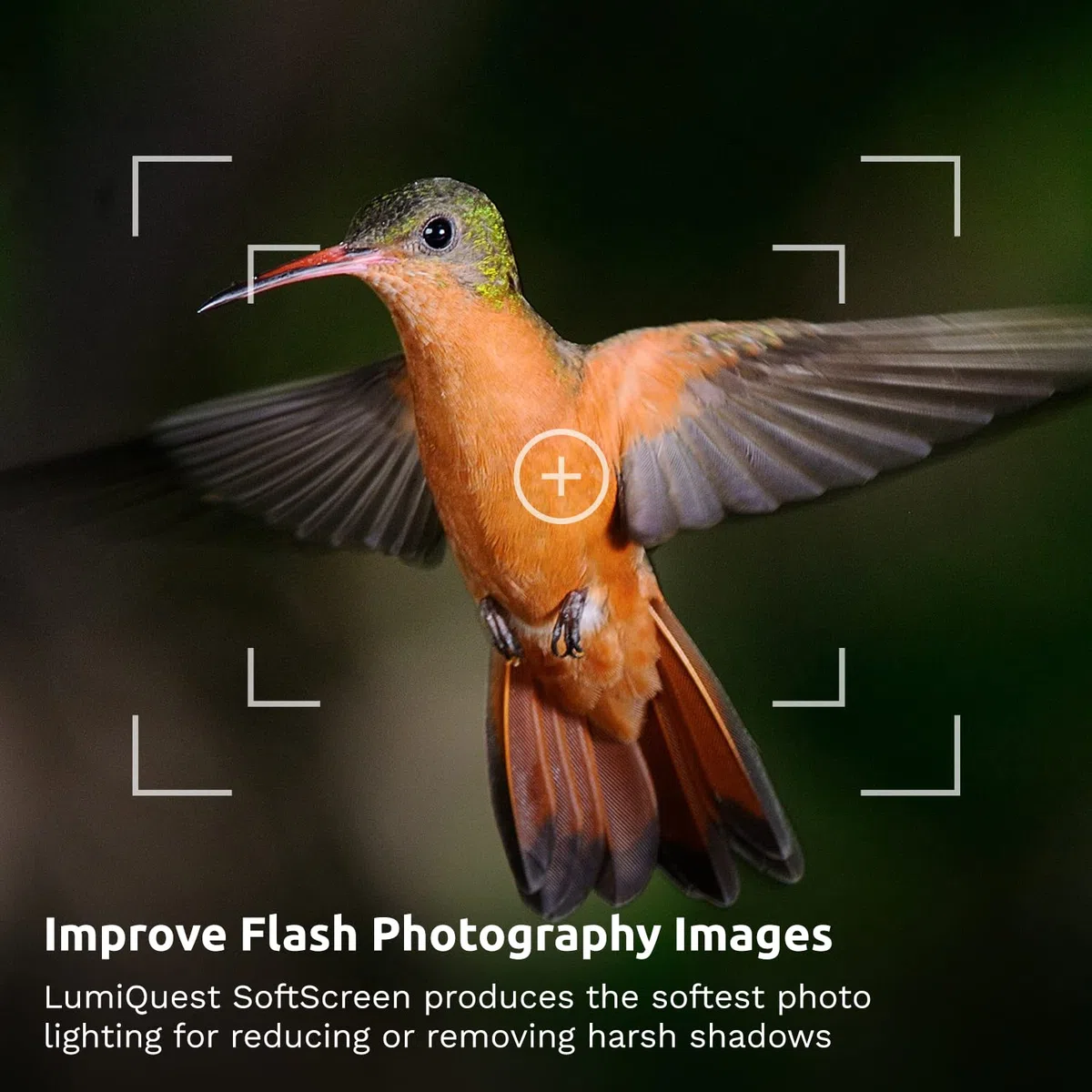 LumiQuest Soft Screen - Flash Diffuser & Light Softener, Universal Classic Design for Digital SLR Cameras, with UltraStrap, Neon Orange