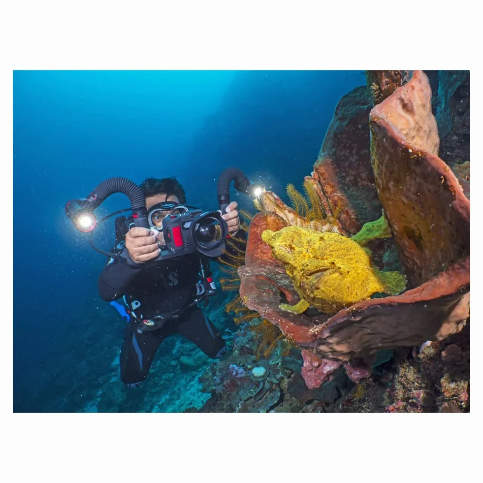 Sealife Sea Dragon 5000+ leistungsstarkes Unterwasser Foto-, Videolicht mit Farbboost (SL680) mit bis zu bis zu 6000 Lumen mit 90 CRI und einem konsistenten 120 Grad Lichtstrahl