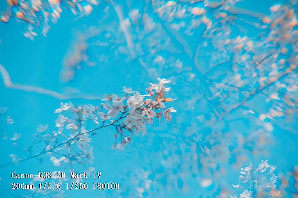 JONGSUN Vier-Prisma Spezialeffektfilter 77mm FX Glas Blendung Widescreen Film Anamorphotische DSLR Film Video Fotografie Kamera Filter Zubehör (Four Prism)